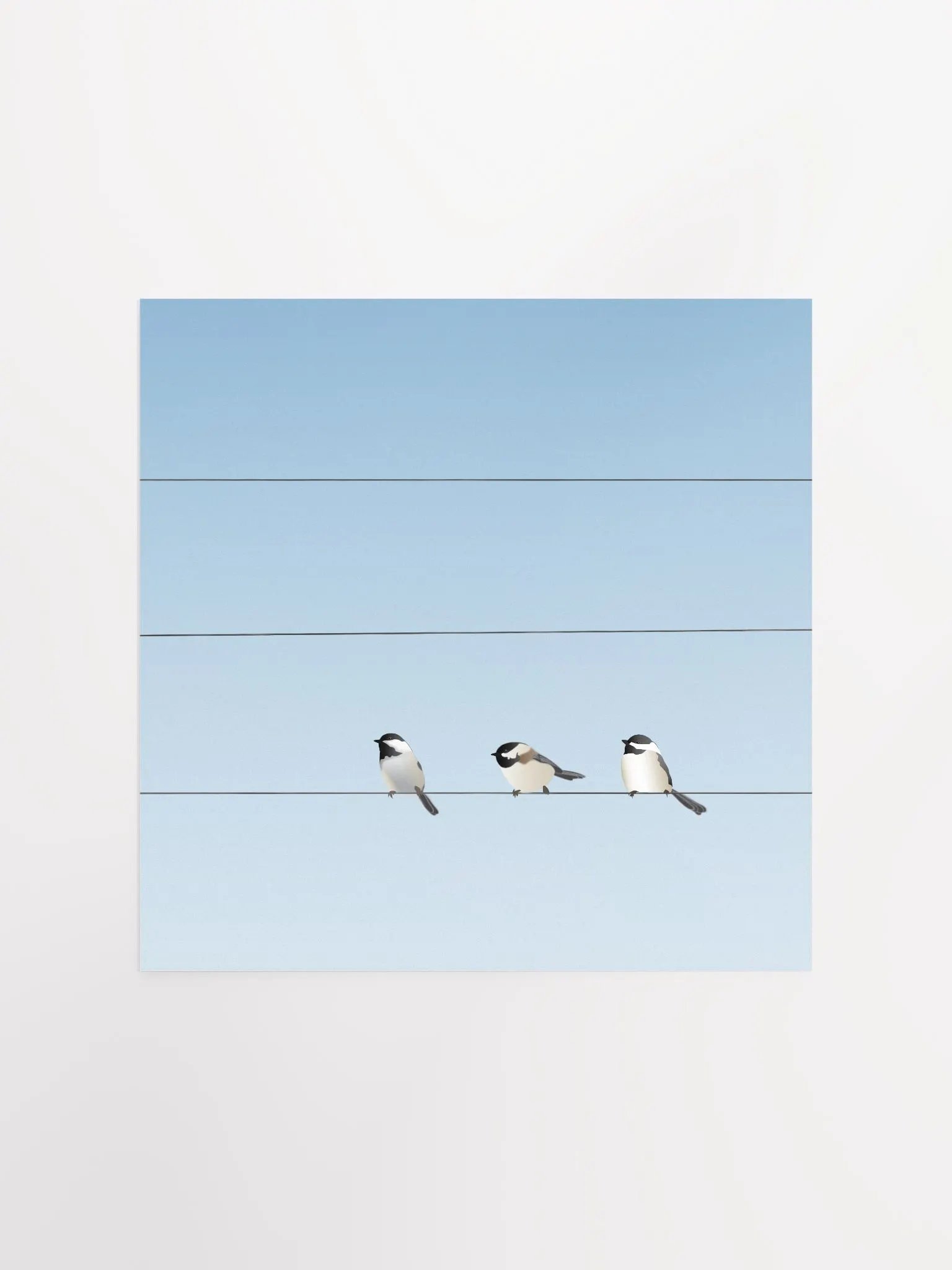 Three Birds on a Wire product image (1)