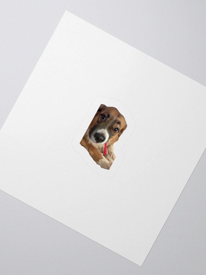 Harry Stickers - Licorice product image (4)