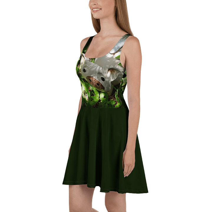 Flying Pig Dress product image (1)