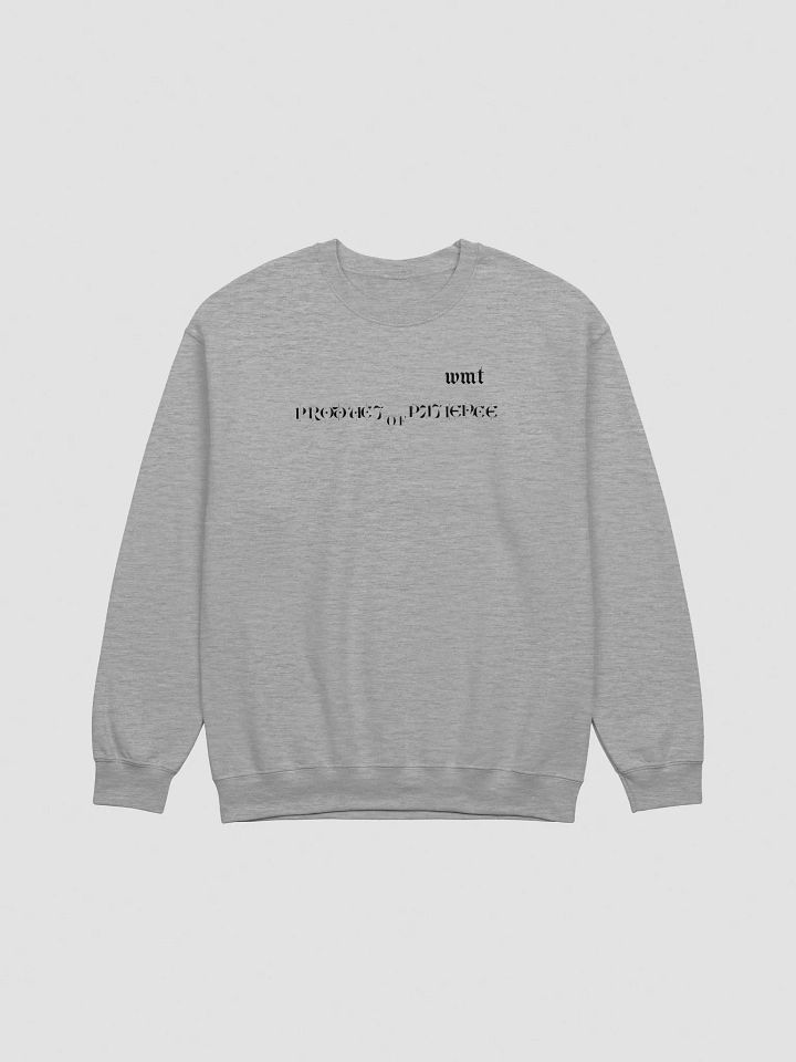 PRODUCT OF PATIENCE WMT Pullover Sweater product image (1)