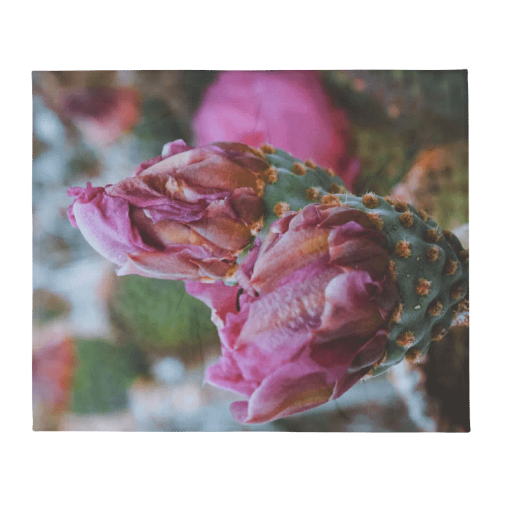 Desert Flower Throw Blanket product image (1)