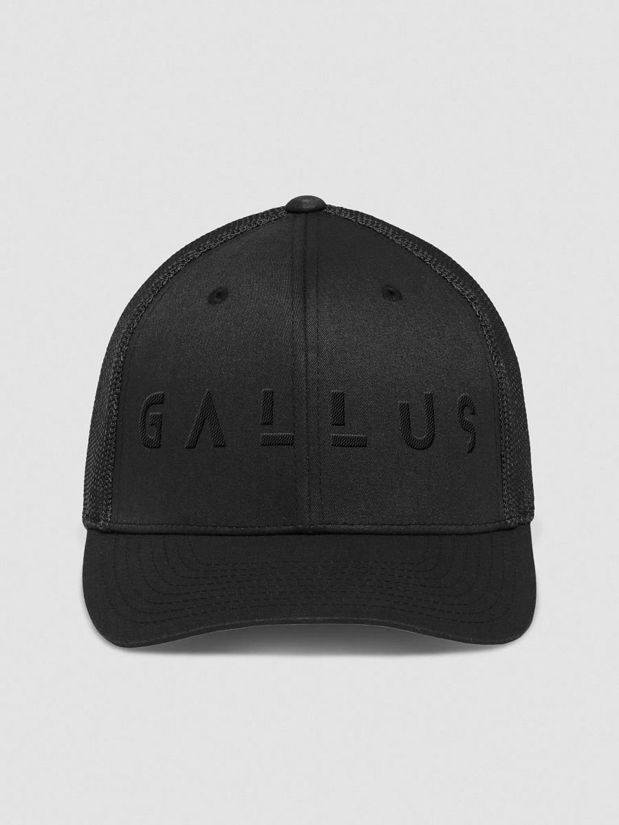 Gallus 2025 Collection product image (1)