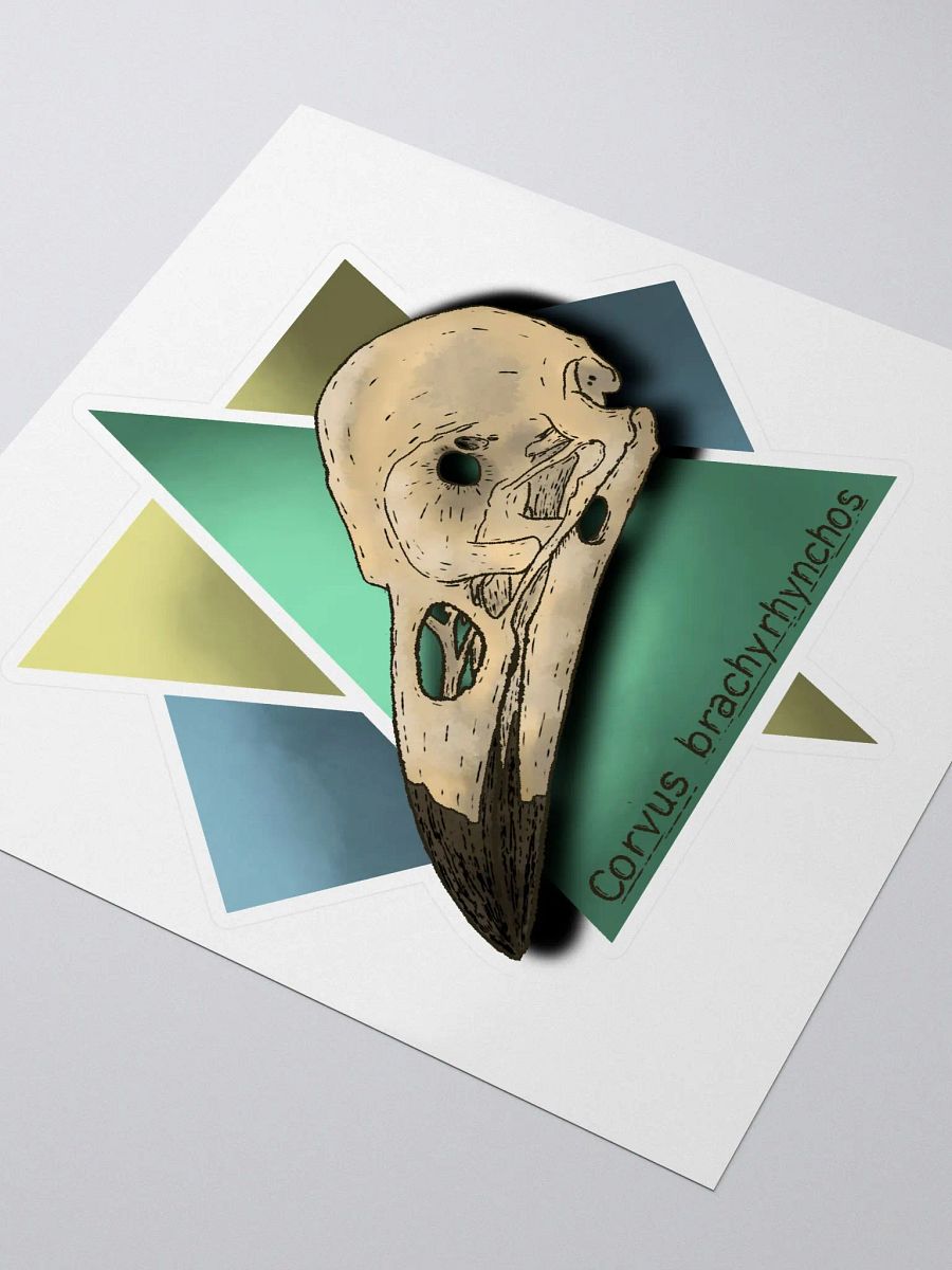 Corvus - Sticker product image (3)