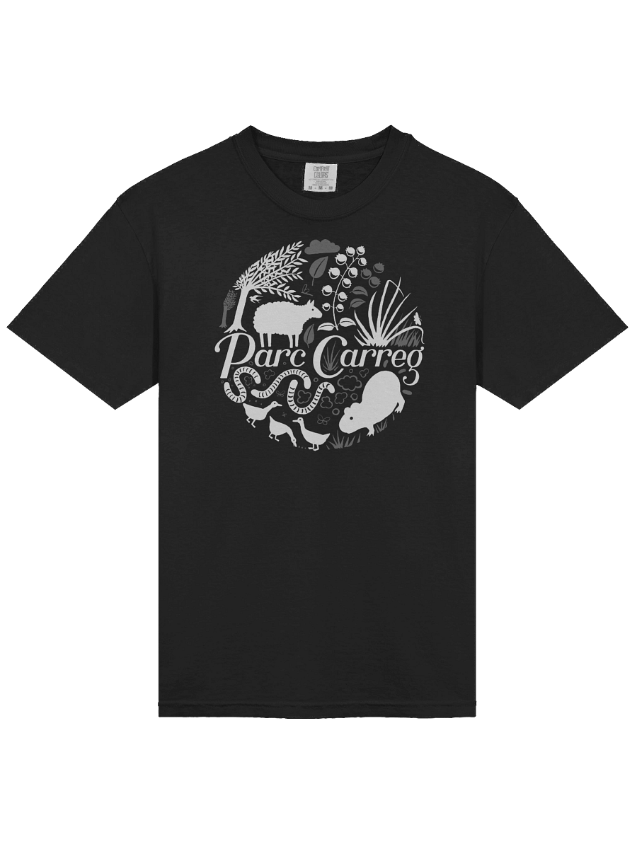 Parc Carreg Tee Shirt product image (6)