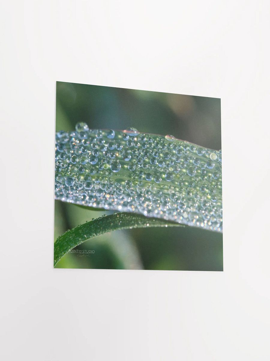 Dew Gems #1 - Print product image (7)