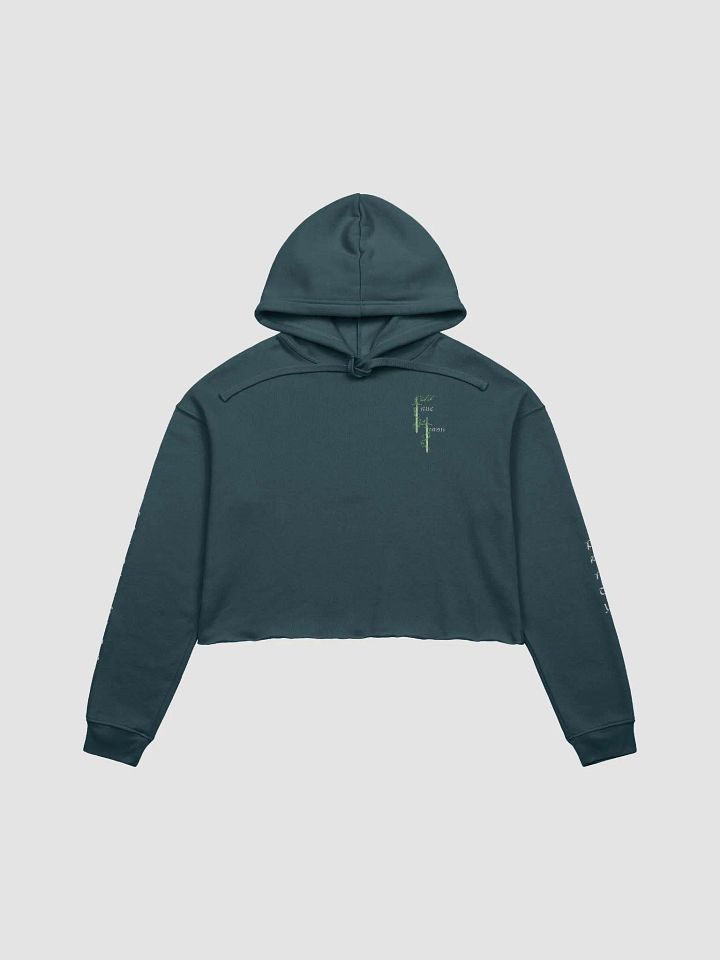 TrueTash Adventuring Party Crop Hoodie product image (1)