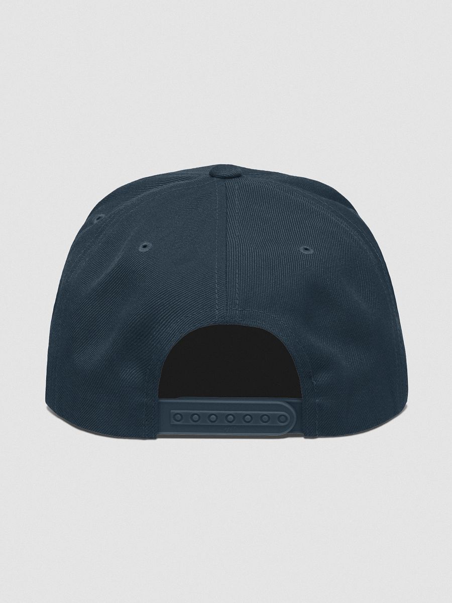 ALLEGEDLY POLITICAL EMBROIDERY HAT product image (4)