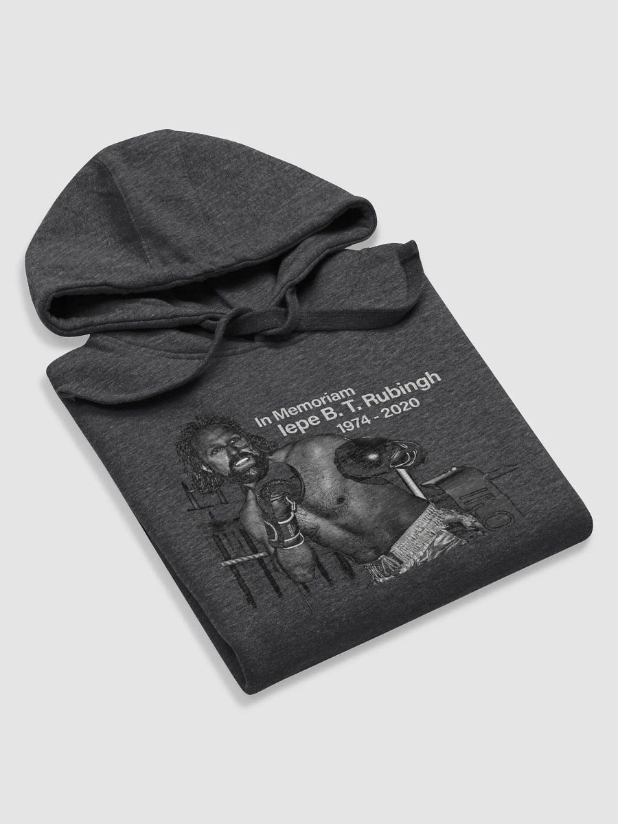 Iepe Rubingh Memorial Hoodie product image (12)