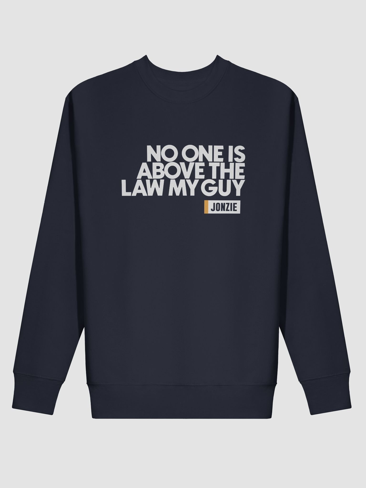 NO ONE IS ABOVE THE LAW SWEAT product image (2)