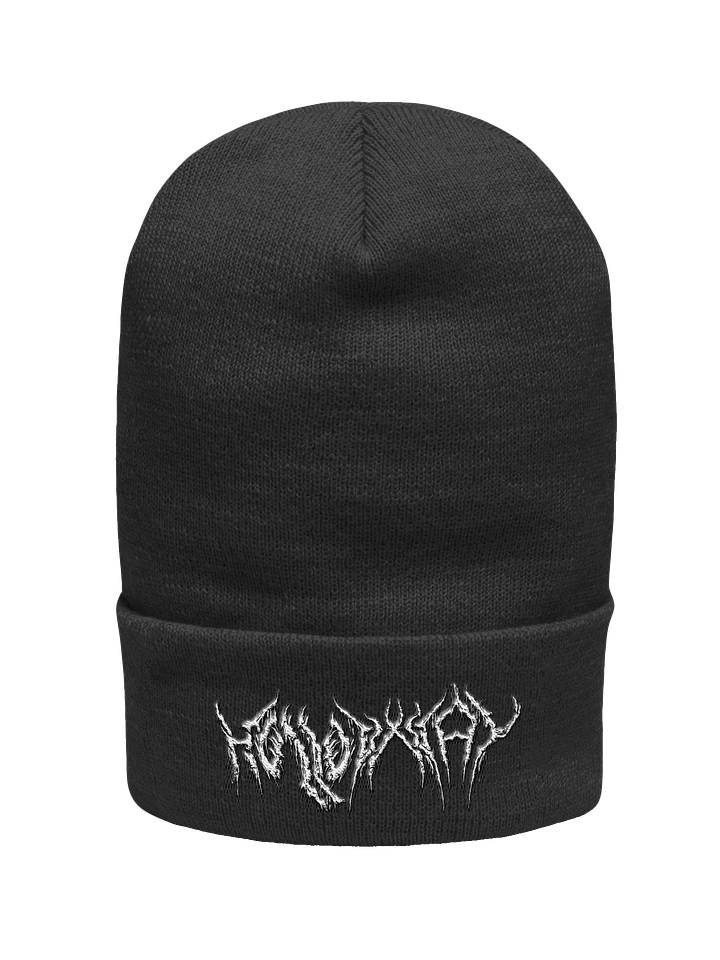 HOLLOWxWAY Cuffed Beanie product image (1)