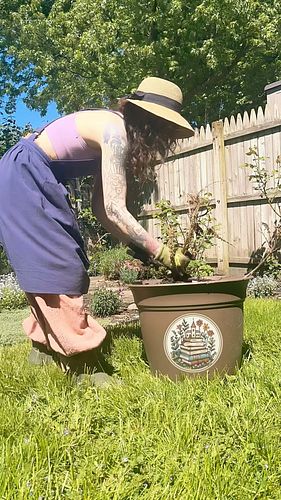 🪴a weekend Hello from Miss Samantha 🪴Check out our latest episode now on YouTube (link in bio)
#kidscontent #cottagegarden #c...