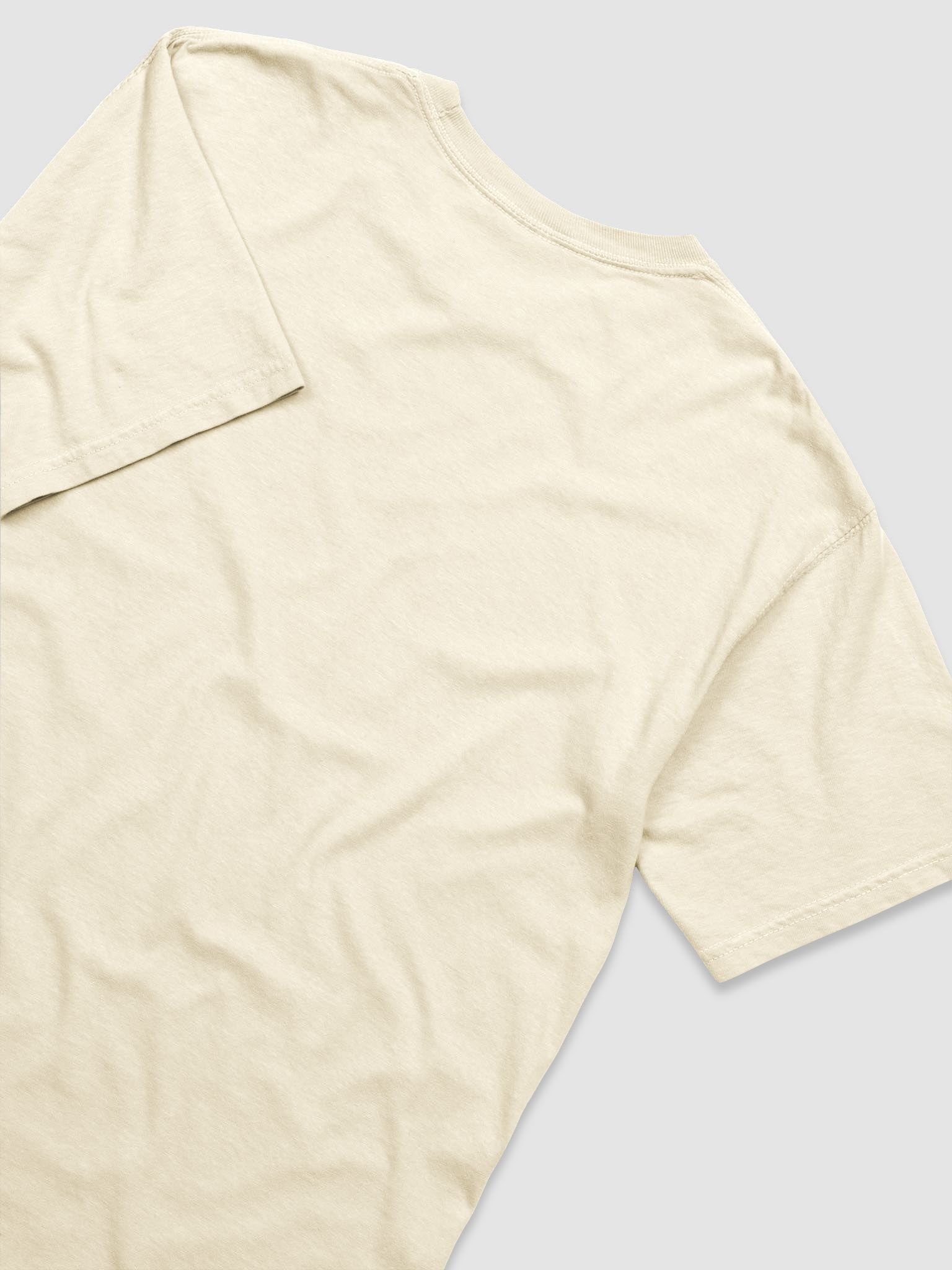 T2 product image (7)
