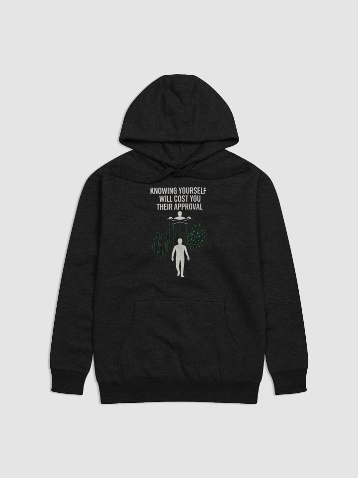 Knowing yourself will cost you their approval Hoodie product image (1)