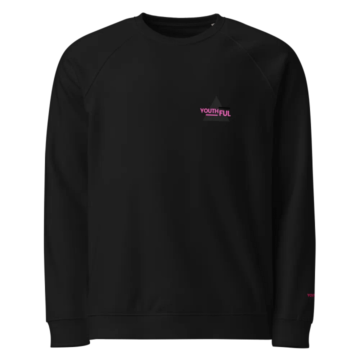 PURE CREATION SWEATSHIRT product image (2)