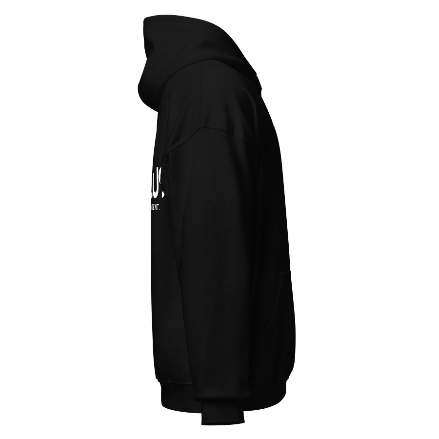 Gallus Hoodies - Embroidery Minimalistic product image (6)