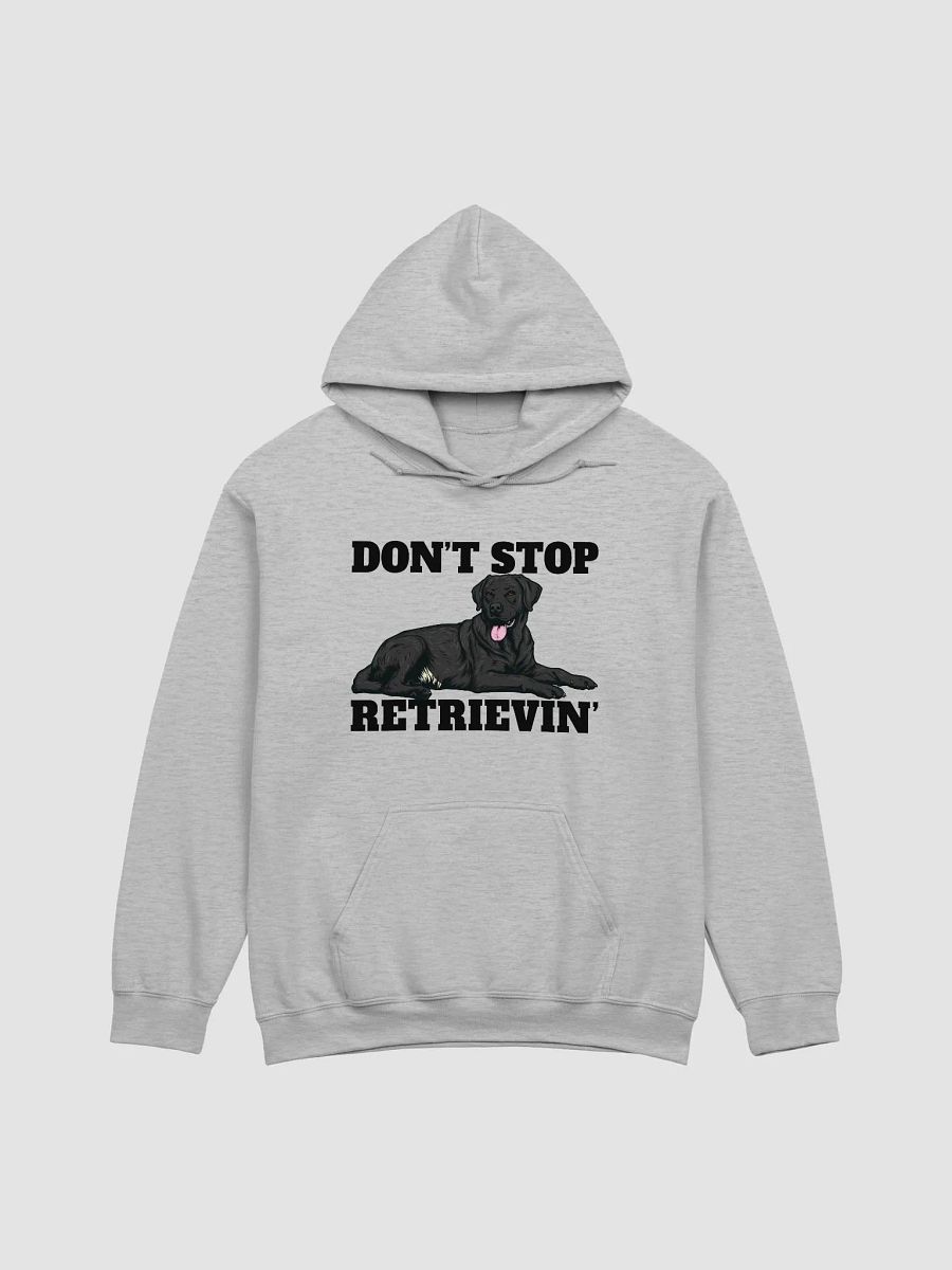 Don't Stop Retrievin' Hooded Sweatshirt of a Labrador Retriever(Black) | Funny Hoodie for Lab Paw-rents product image (26)