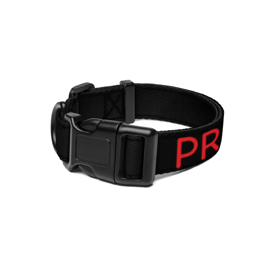 Bold Red Pet Collar by Pro Synth Network product image (1)