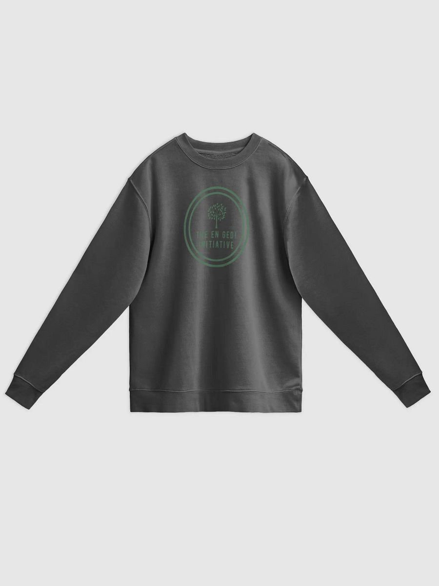 The En Gedi Initiative Logo Crew Neck product image (3)