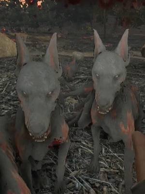 I ALMOST DIED!! Wandering Horde of Zombie Dogs...phew! #gaming #stormsbrewing #7daystodie #jumpscare #ParrysGaming