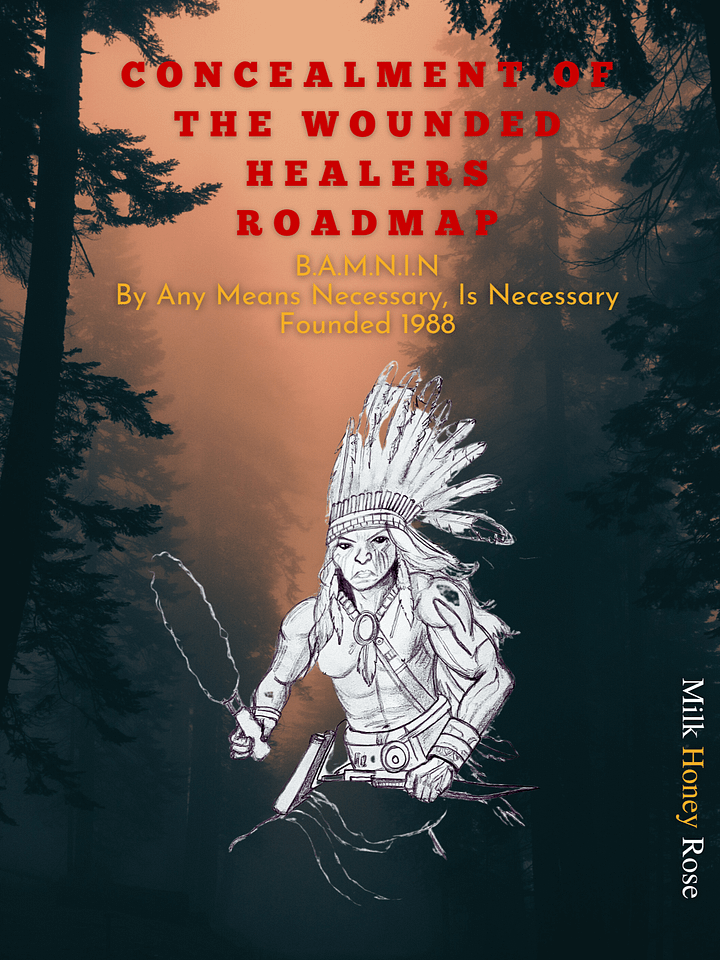 CONCEALMENT OF THE WOUNDED HEALERS' ROADMAP product image (1)