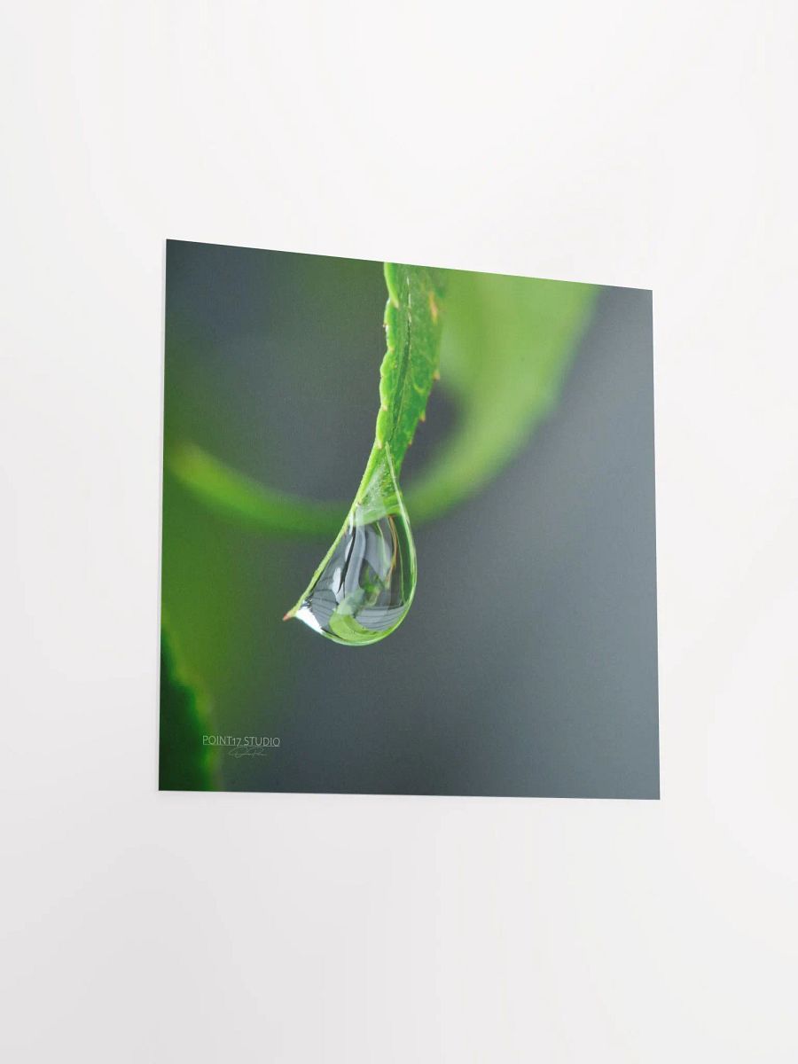 Dew Gems #4 - Print product image (9)