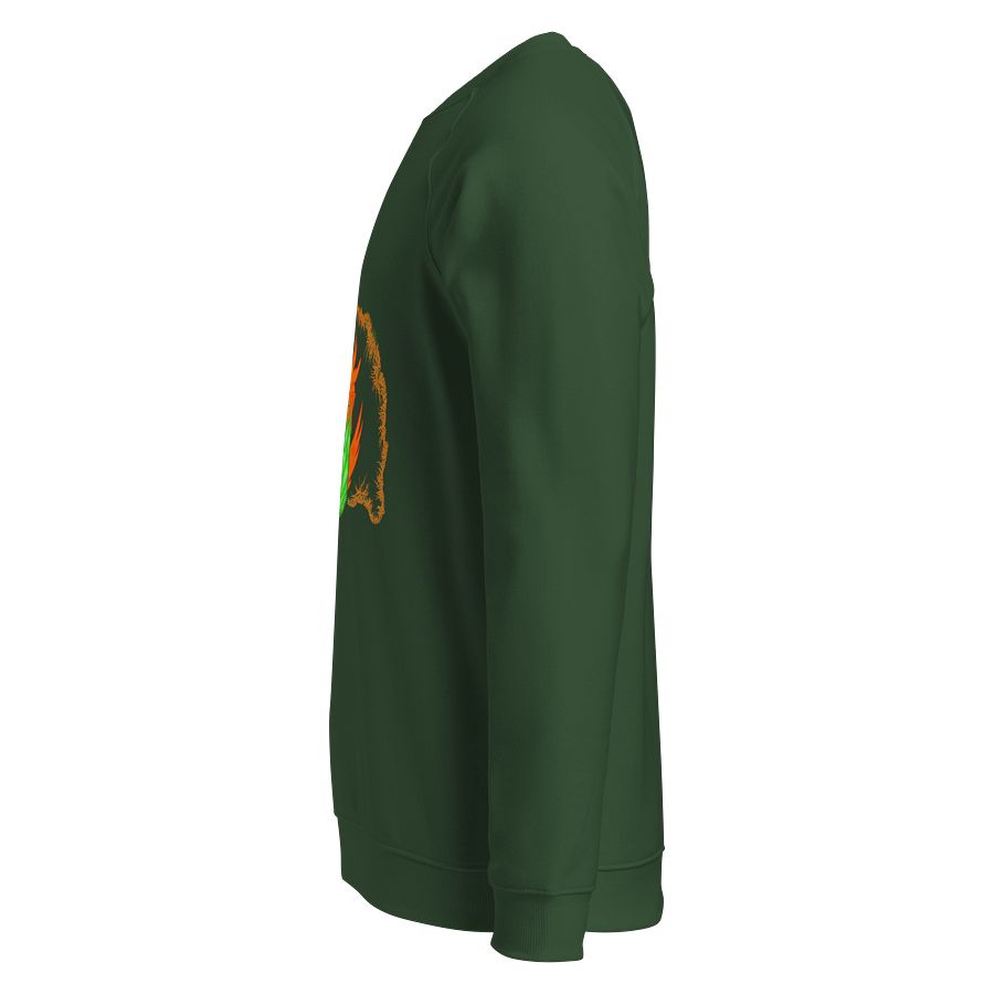 Dragonfire Unisex Raglan Sweatshirt product image (3)