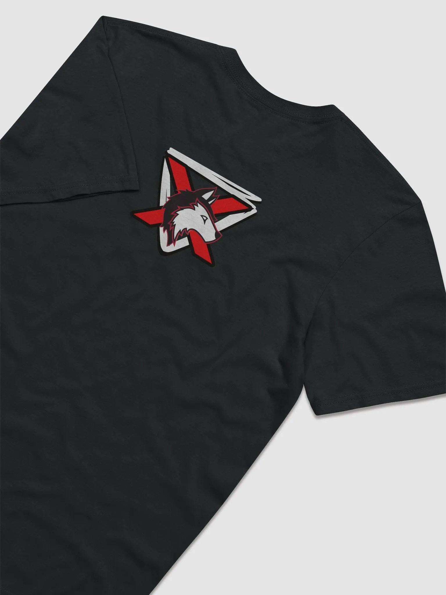 AlphaXSynergy Gildan Lightweight Fashion Short Sleeve T-Shirt Front Left Logo & Back product image (7)