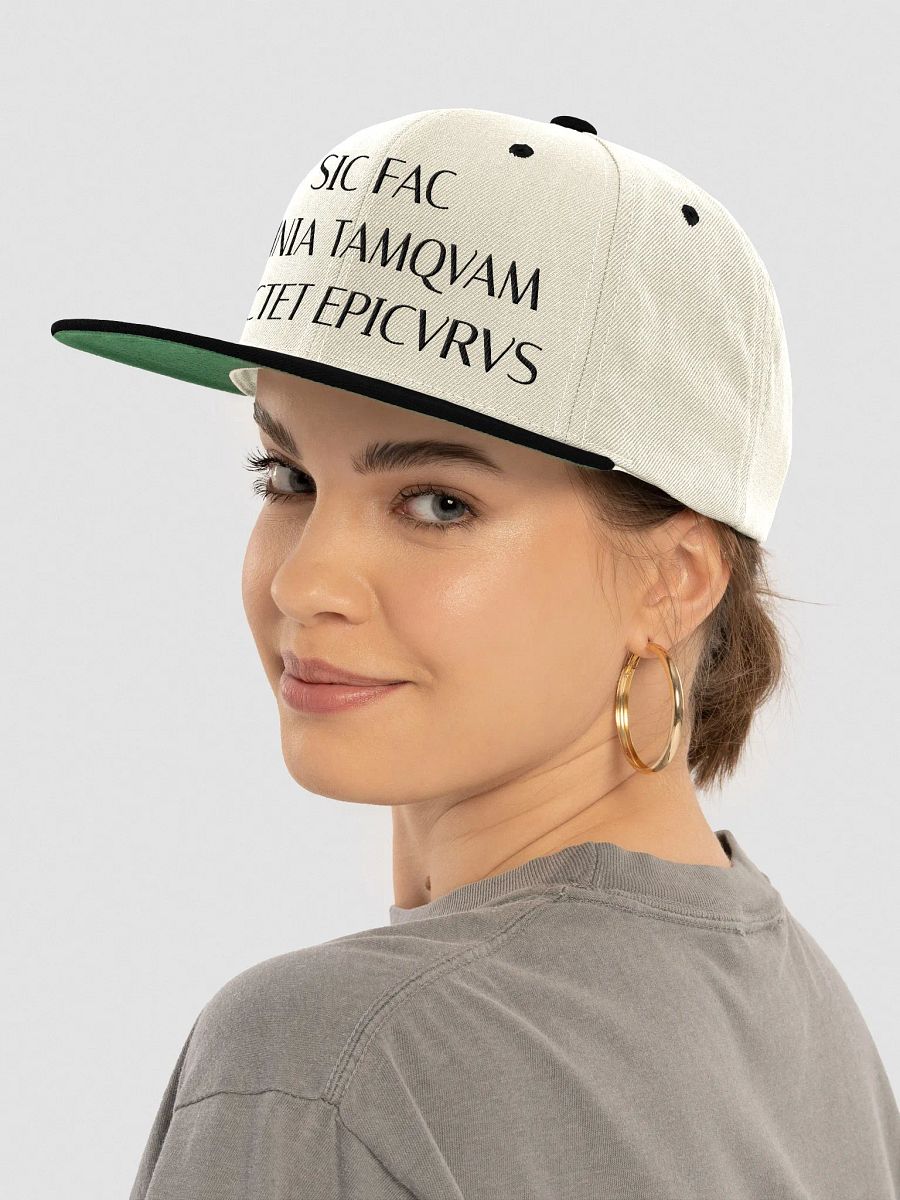 SOTSFE DARK (Yupoong Wool Blend Snapback Cap) product image (7)