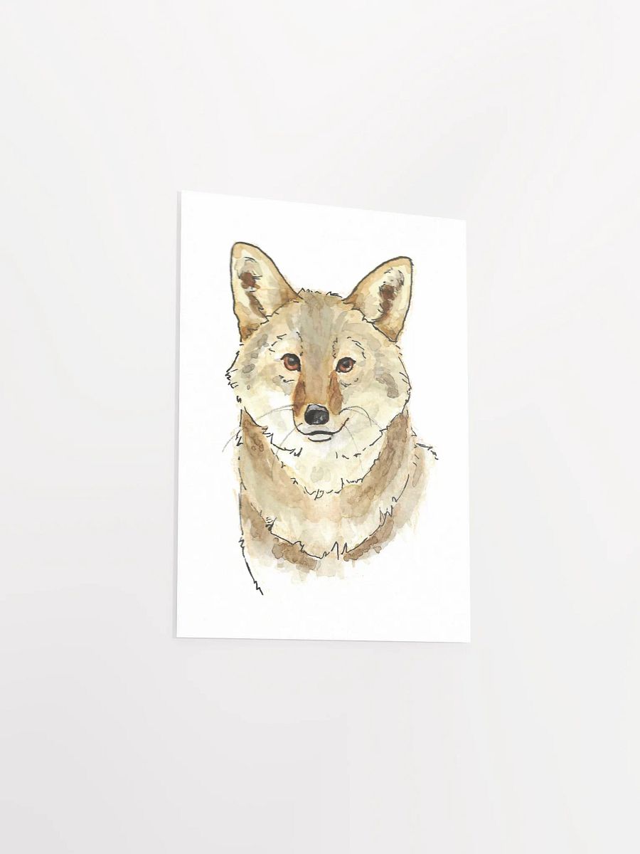 Watercolor Coyote Portrait - Art Print product image (20)