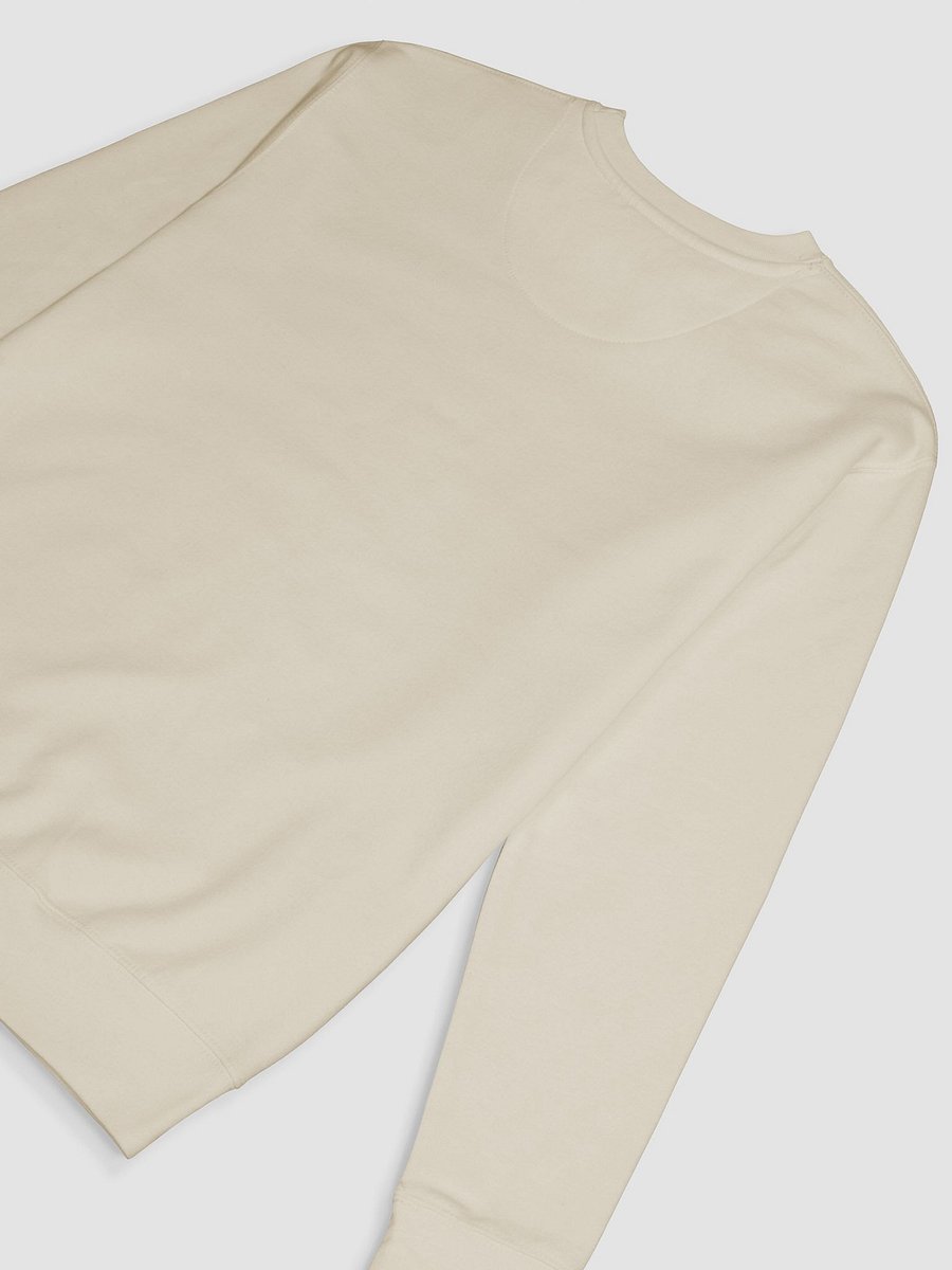 Chic Collared Visionary Sweatshirt product image (43)