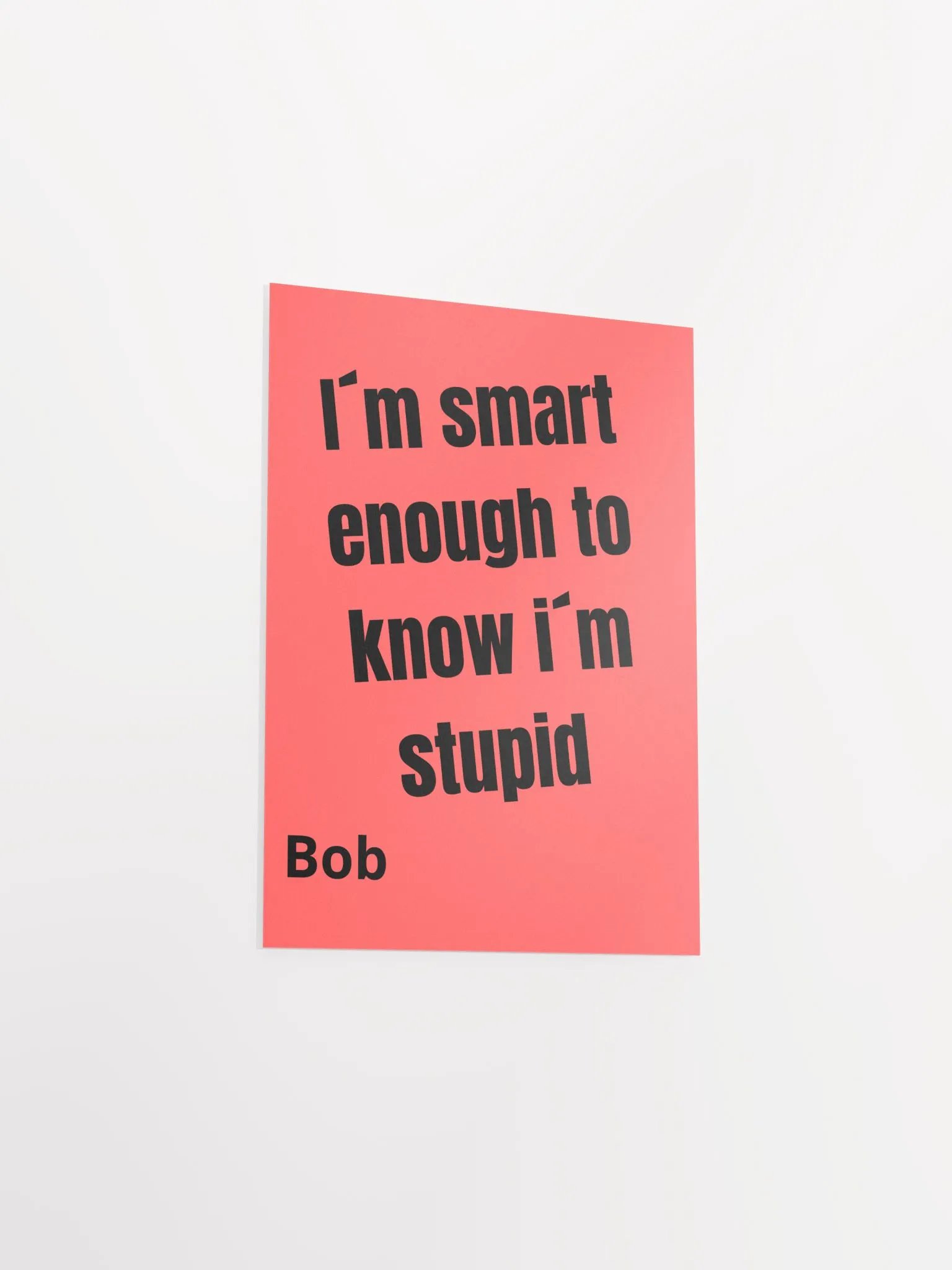 Meet bob. product image (23)
