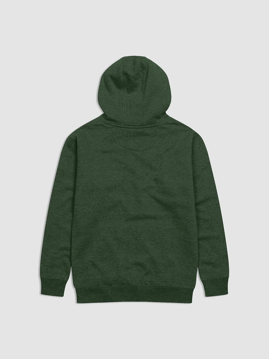 At the End of the Rainbow Hoodie product image (10)