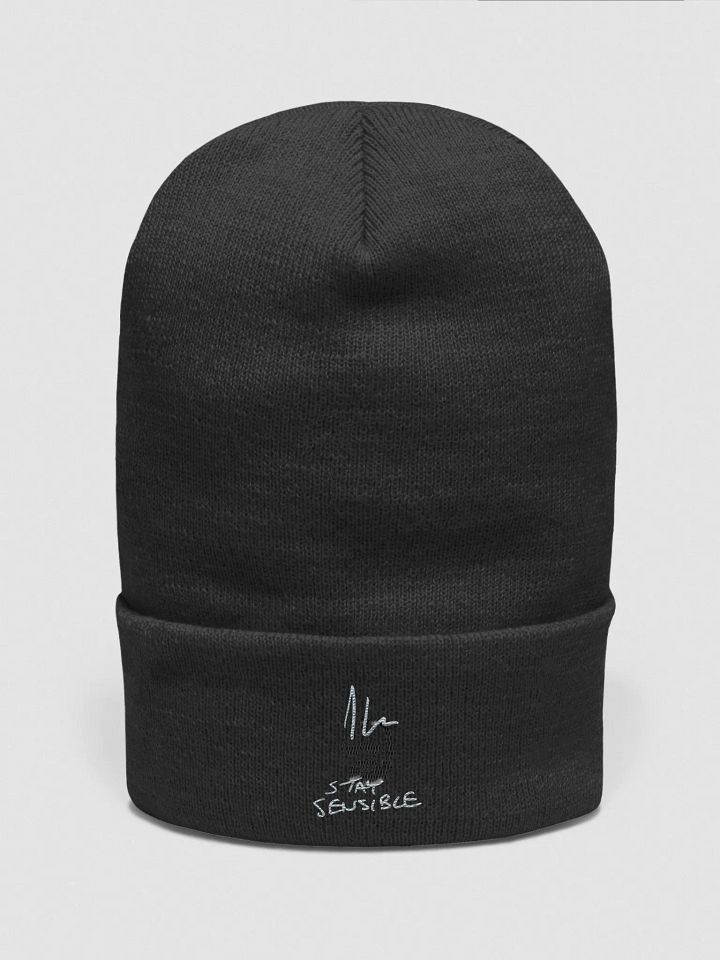 Jon Hare Stay Sensible Beanie product image (1)