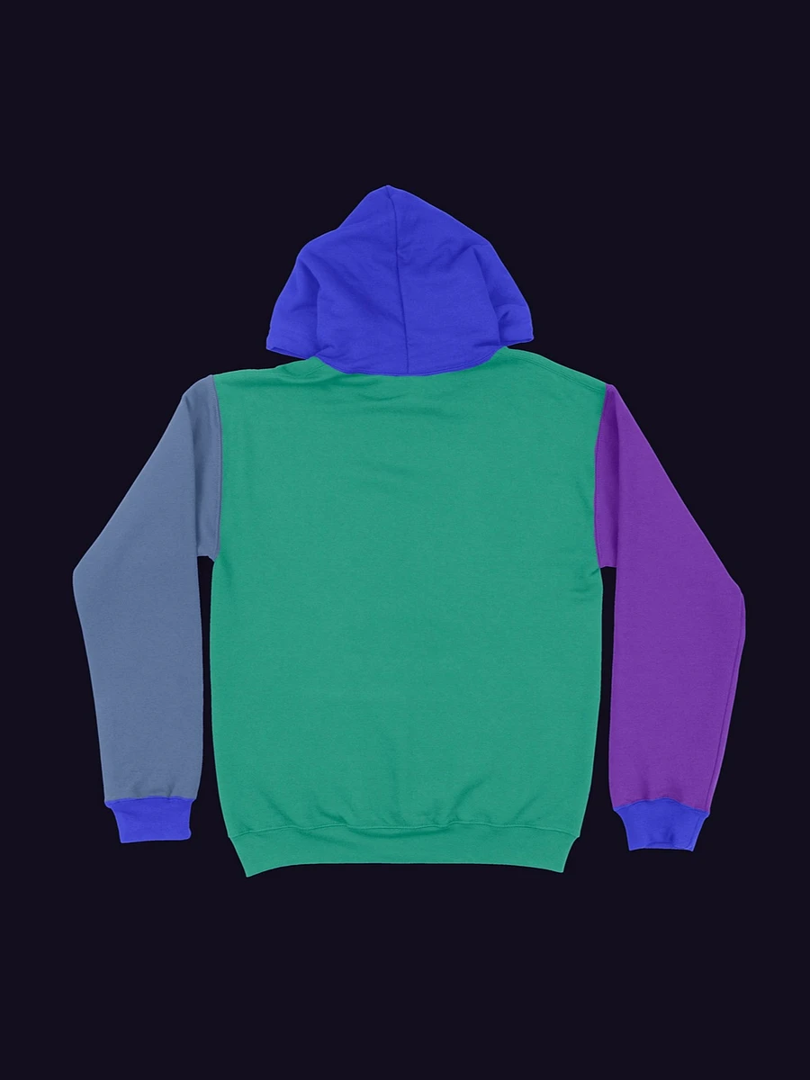 *SPECIAL EDITION* Colorblock Hoodie product image (2)