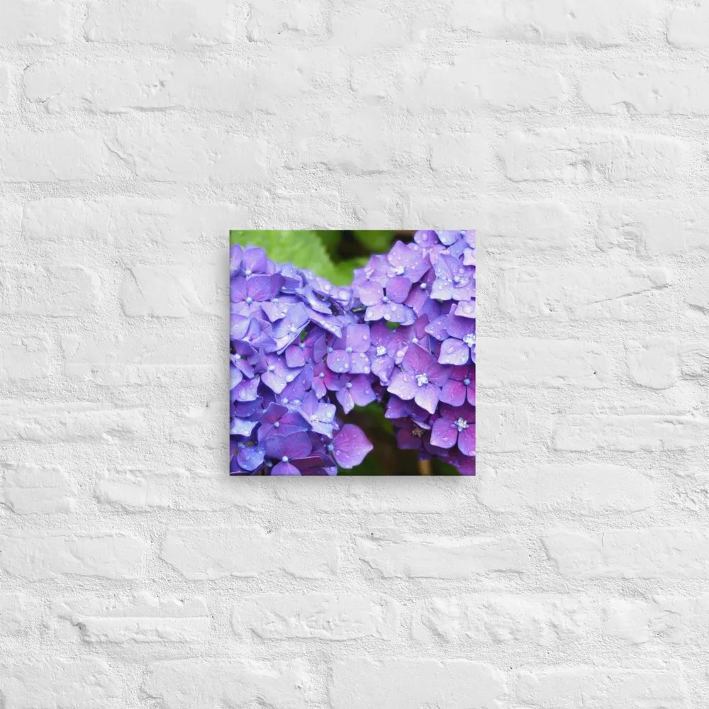 Hydrangeas product image (9)