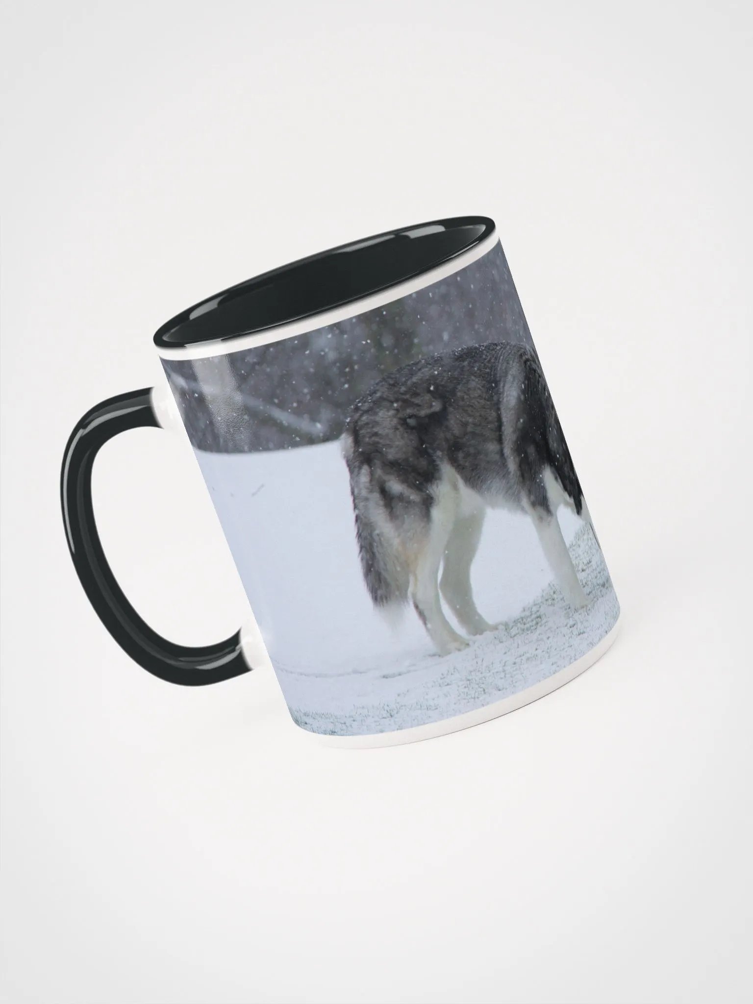 Blue Eye Siberian Husky in the Snow with Trees in the background product image (4)