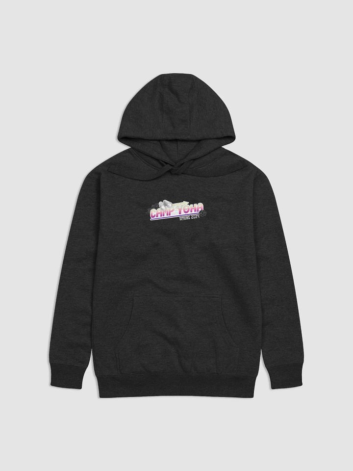 Spring 2024 Hoodie product image (1)