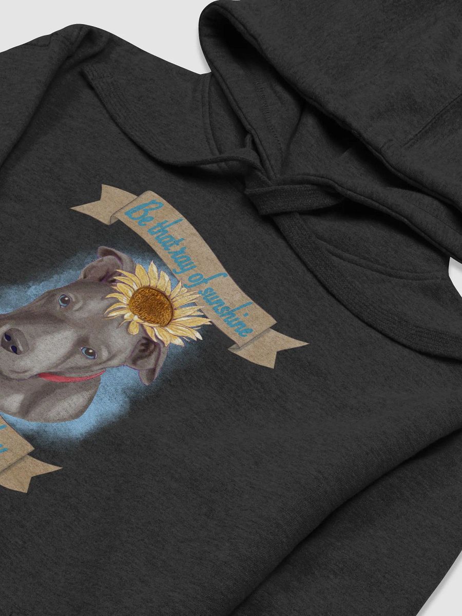 Sunshine pullover hoodie product image (17)