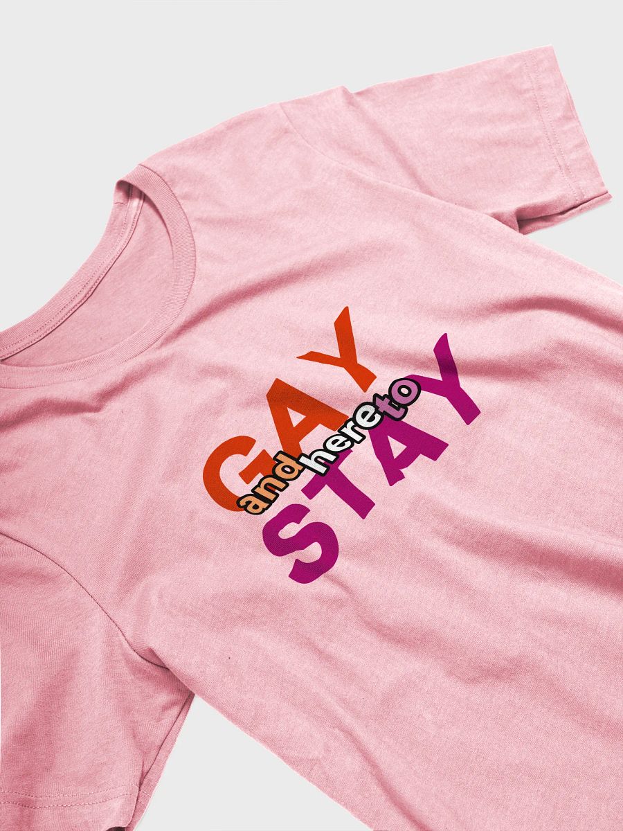 gay and here to stay (lesbian) t-shirt product image (3)