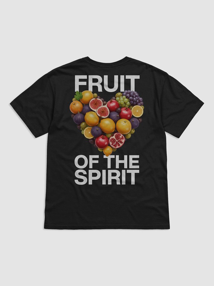 Fruit of the Spirit Heavyweight Tee (Black) product image (2)