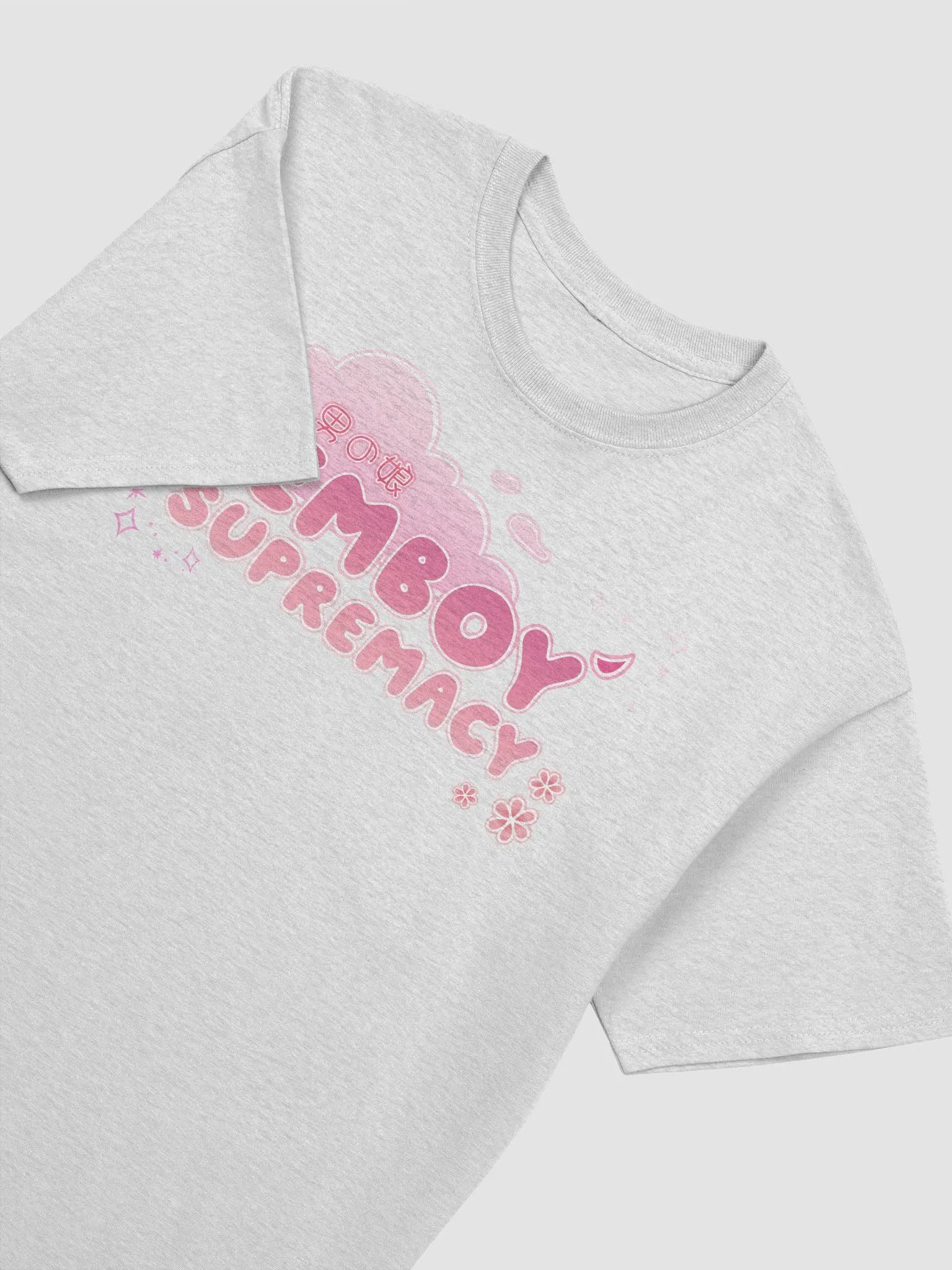 Pink Femboy Supremacy TShirt V2 product image (26)