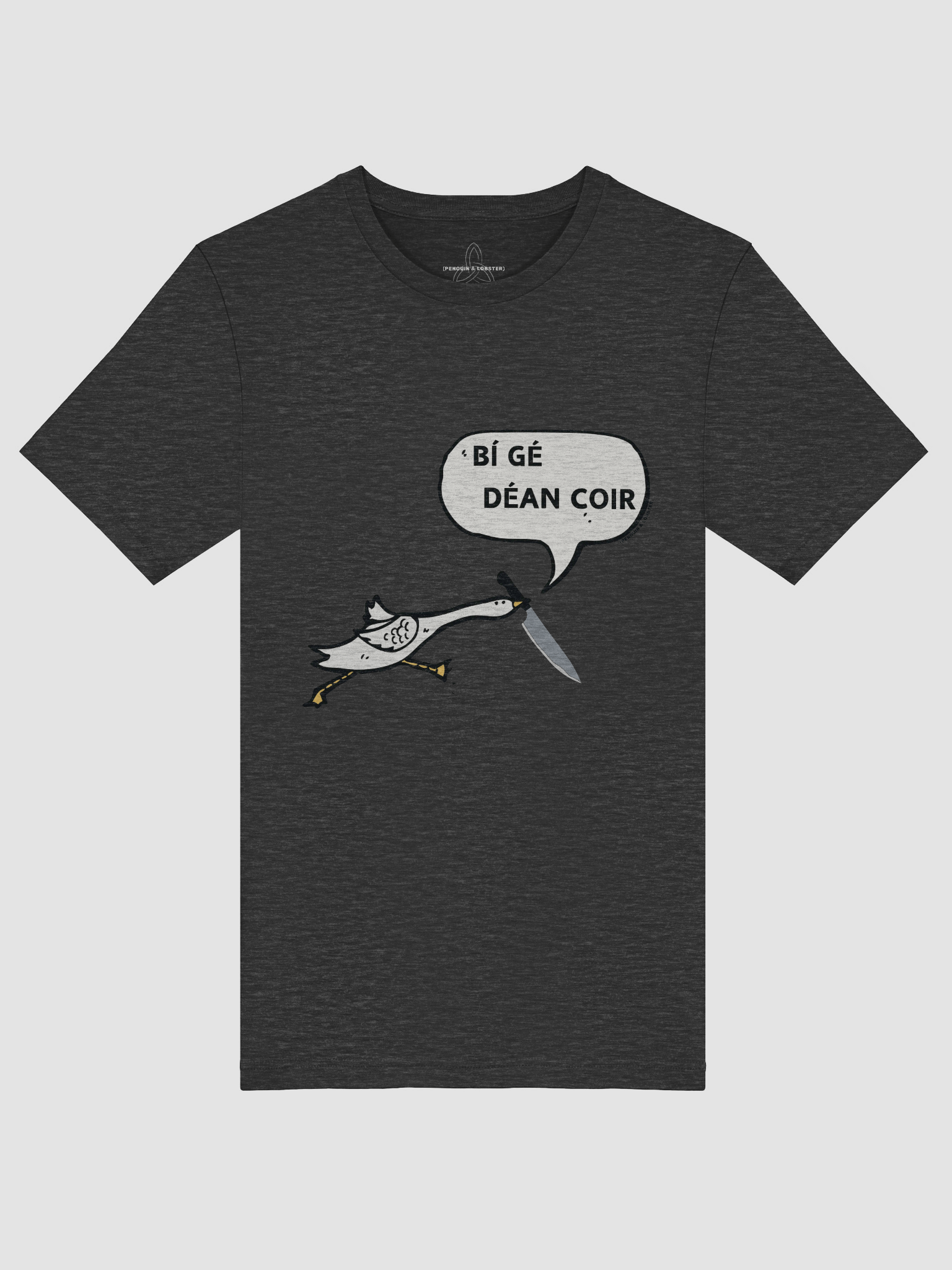Bí Gé Déan Coir T-shirt product image (3)