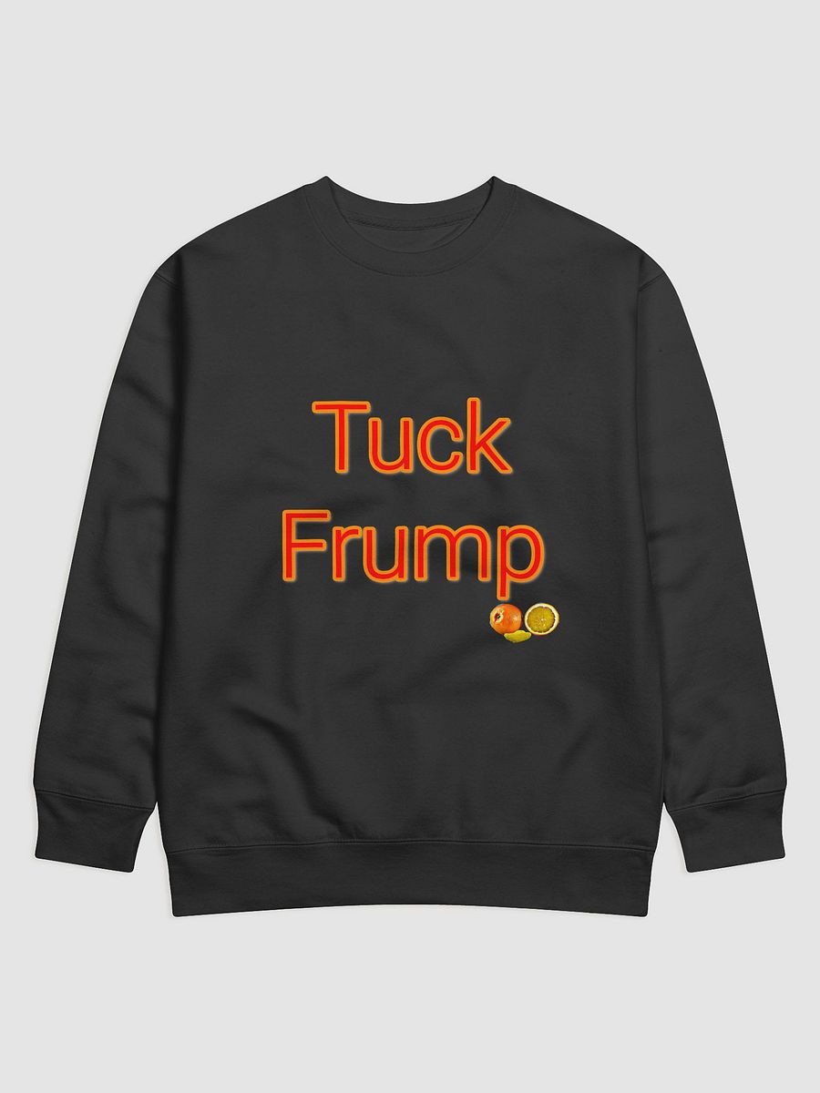 Tuck Frump Sweatshirt product image (3)