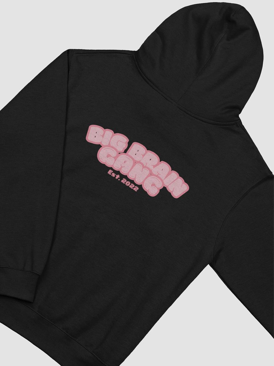 Brian Heart / Big Brain Gang Hoodie product image (34)
