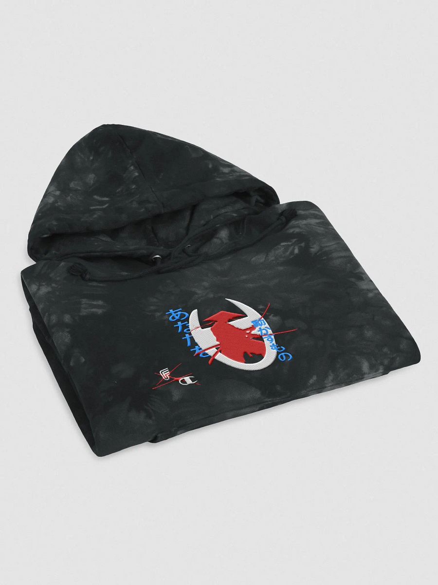 Frostee x Champion Tie-Dye Hoodie product image (3)