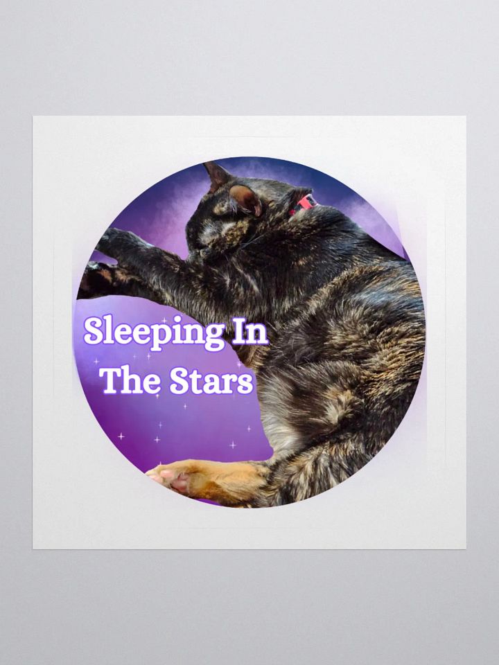 Sleeping In the Stars Obi Sticker product image (1)