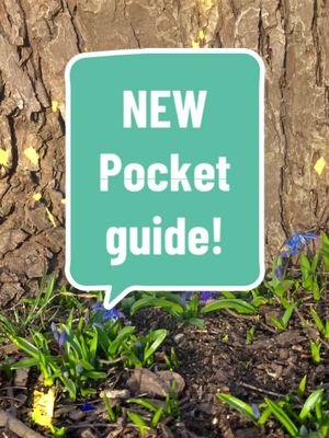 New pocket photography guide! Available on our website! #learnphotography #photography #photographymentor #photographyacademy #pocketguide #flowers #springflowers #illinoisphotographer 