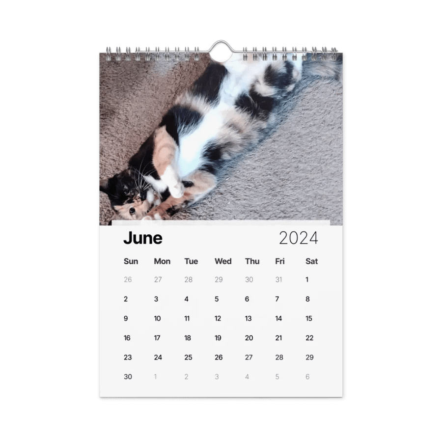 2024 Lyra Calendar product image (23)