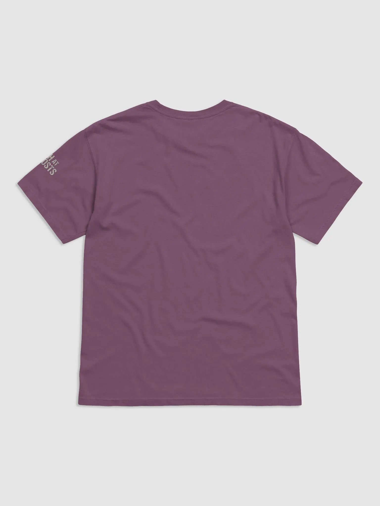 Truth at All Costs Podcast Art heavy t-shirt product image (2)