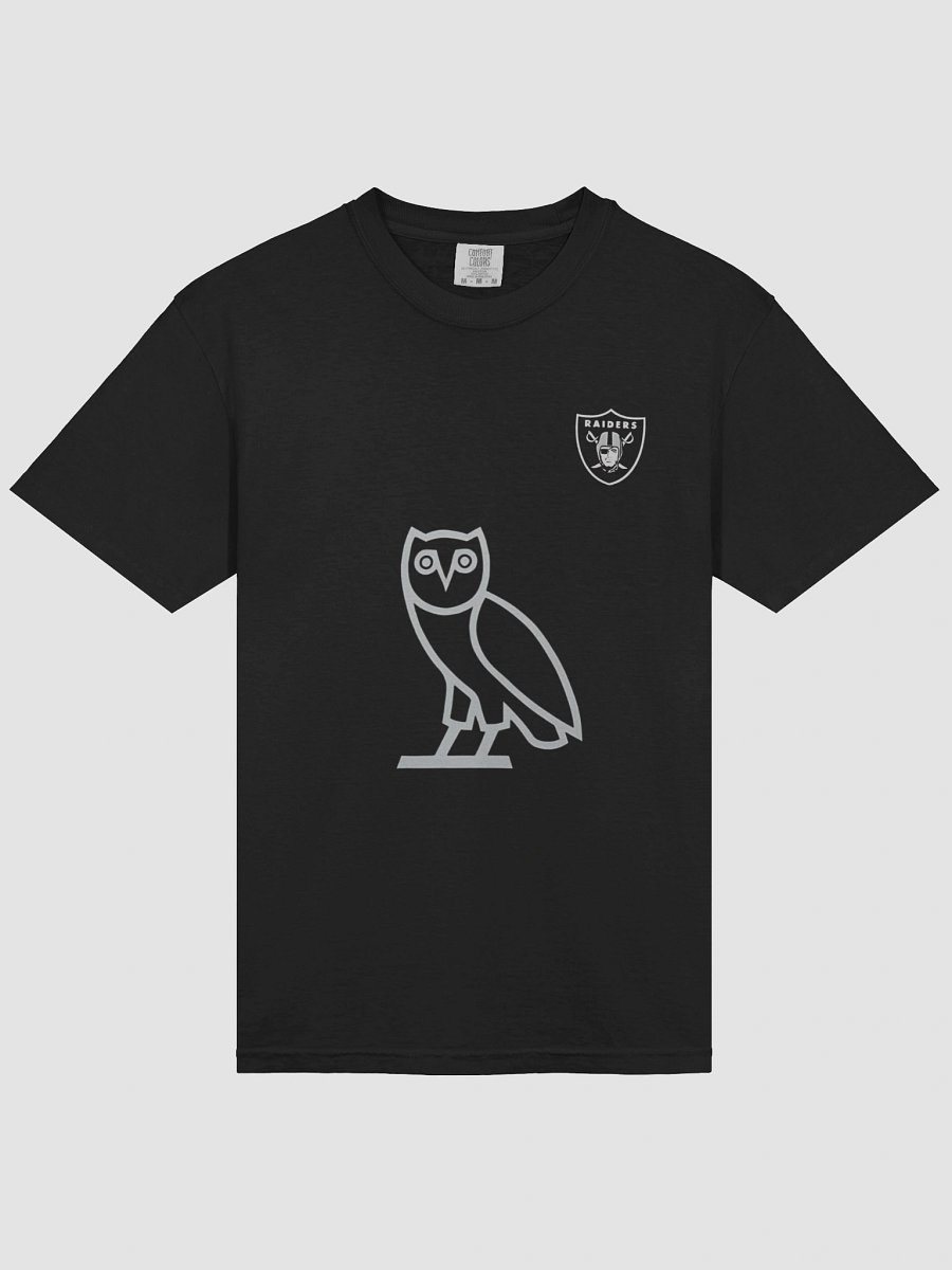 Guardian Owl Shield T-Shirt product image (3)